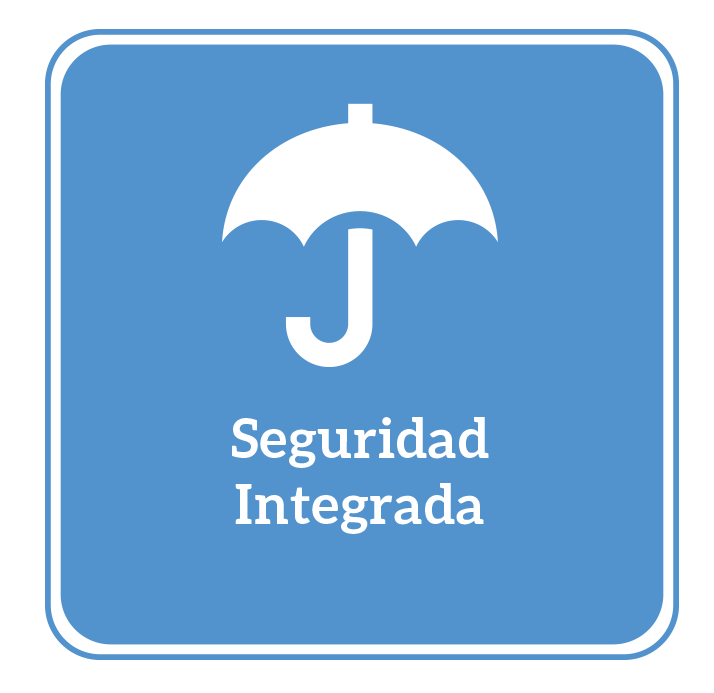 seguridad integrada