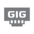 GigabitPorts-solid-70x70
